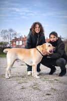 Foto del cuidador: Moises B.