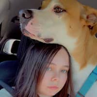 Sitter Profile Image: Larissa W.