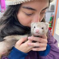 Sitter Profile Image: Victoria M.