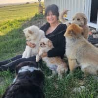 Sitter Profile Image: ali b.