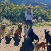 Sitter Profile Image: Ashley W.