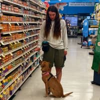 Sitter Profile Image: Claire M.