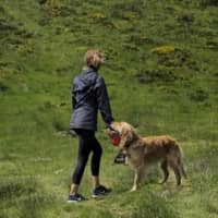 Photo de profil du pet sitter : laurette h.