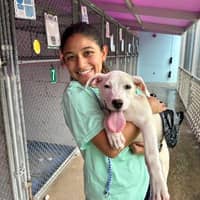 Sitter Profile Image: Noshin I.