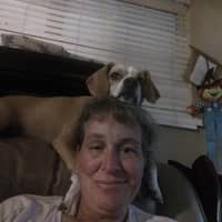 Sitter Profile Image: Kelly F.