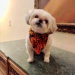 Sitter Profile Image: Mercedes M.