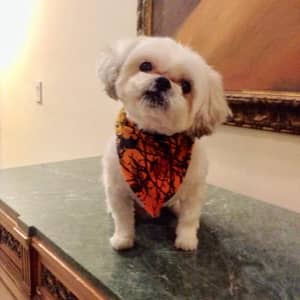 Sitter Profile Image: Mercedes M.