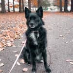 Sitter Profile Image: Breanna F.