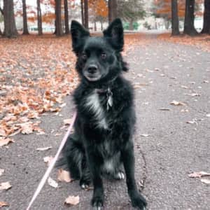 Sitter Profile Image: Breanna F.