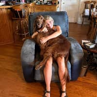 Sitter Profile Image: Sarah M.