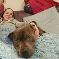 Sitter Profile Image: Sophie K.