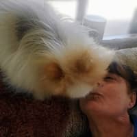 Sitter Profile Image: Kasey C.