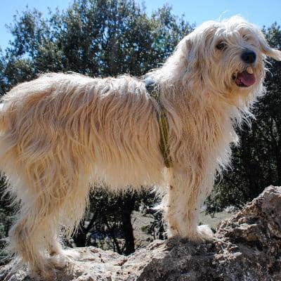Foto de perfil del cuidador: Maria O.