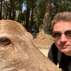 Sitter Profile Image: Florian B.