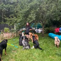 Photo de profil du pet sitter : Laetitia V.