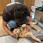 Sitter Profile Image: Jose Maria P.