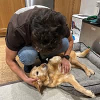 Profielfoto oppas: Jose Maria P.