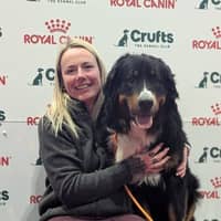 Sitter Profile Image: Sarah N.