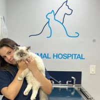 Sitter Profile Image: Daniela D.