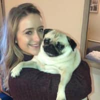 Sitter Profile Image: Lisa S.