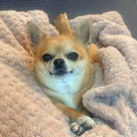 Foto del cuidador: Mariyana R.