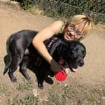 Sitter Profile Image: Chengchao T.