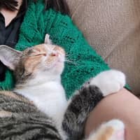 Photo de profil du pet sitter : Lefeuvre B.