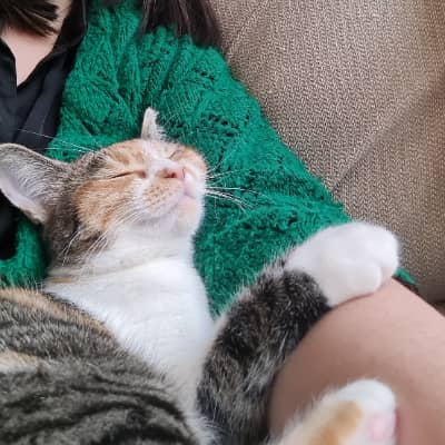 Photo de profil du pet sitter : Lefeuvre B.