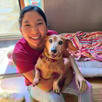 Sitter Profile Image: Victoria L.