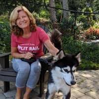 Sitter Profile Image: Sue J.