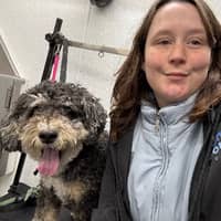 Sitter Profile Image: Haley D.