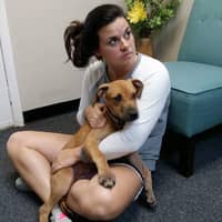 Sitter Profile Image: Erin P.