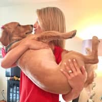 Sitter Profile Image: Ashley J.