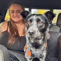 Sitter Profile Image: Brittany C.