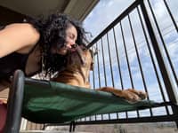 Sitter Profile Image: Stephanie B.