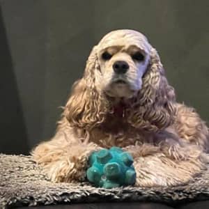 Sitter Profile Image: Jamie & Jack F.