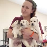 Sitter Profile Image: Carlie B.