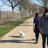 Sitter Profile Image: Michelle G.