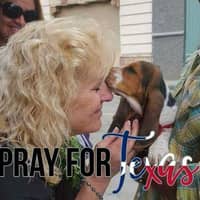 Sitter Profile Image: Connie G.