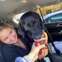 Sitter Profile Image: Gwin S.