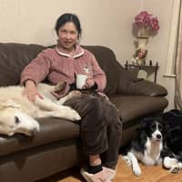 Sitter Profile Image: Qi X.