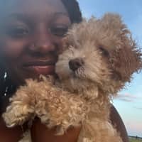 Sitter Profile Image: Anaiyah A.