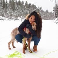Profilbilde av hundepasser: Marte C.