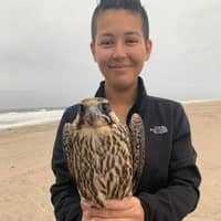 Sitter Profile Image: Katie G.