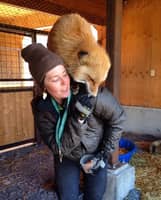 Sitter Profile Image: Suzanne S.