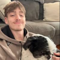 Sitter Profile Image: Collin N.