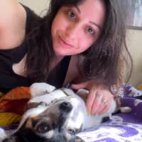 Sitter Profile Image: Ilana S.