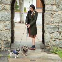 Sitter Profile Image: Ilana S.