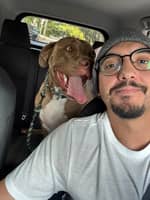 Sitter Profile Image: Alexander G.