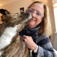 Sitter Profile Image: Severn S.